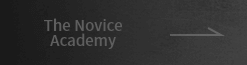 The Novice Academy